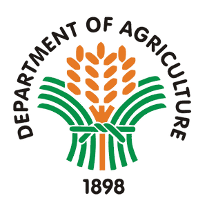 Demo Logo